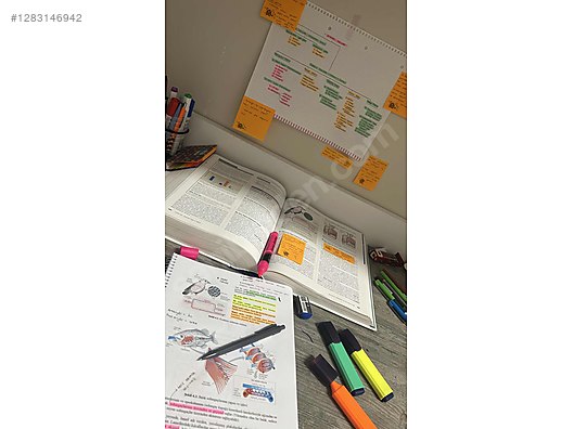 Ortaokul Fen LGS Özel Ders