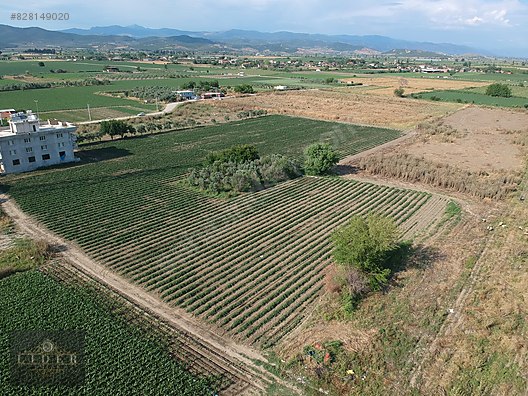 egerci de 3020m2 tarla satilik arsa ilanlari sahibinden com da 828149020