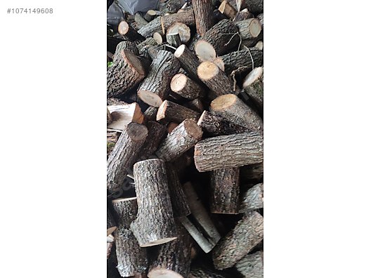 İkinci El ve Sıfır Alışveriş / Bahçe & Yapı Market / Yapı Malzemeleri / Hırdavat & Nalburiye / Orman Ürünleri