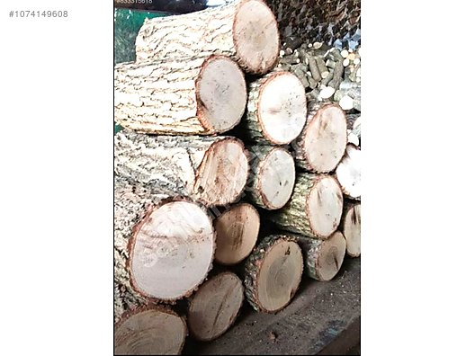 İkinci El ve Sıfır Alışveriş / Bahçe & Yapı Market / Yapı Malzemeleri / Hırdavat & Nalburiye / Orman Ürünleri