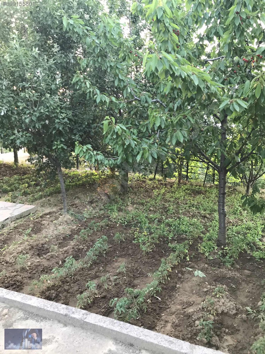 HAMAMLIKIZIKDA ÖZEL YAPILI TAŞTAN EV VE HOBİ BAHÇESİ Satılık Arsa