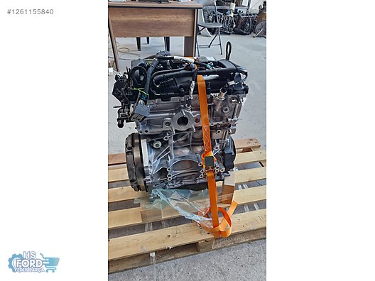 Otomobil & Arazi Aracı / Motor / FOCUS 1.5 DRAGON SANDIK MOTOR