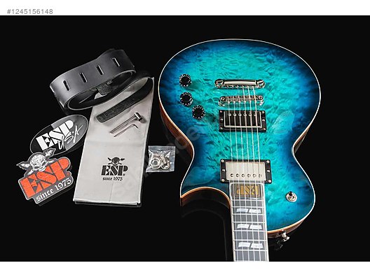 ESP Elektro Gitar