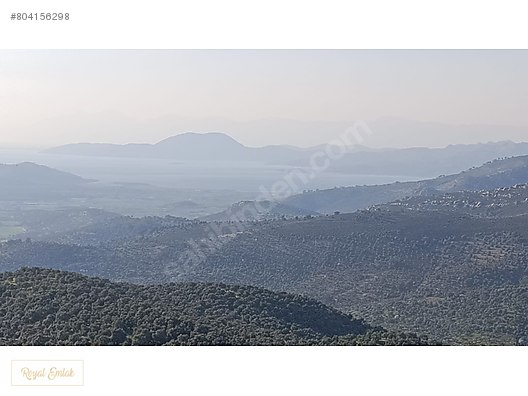Muğla Milas ROYAL EMLAK MİLAS Emlak ilanları