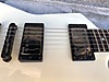 ESP Elektro Gitar