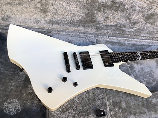 ESP Elektro Gitar