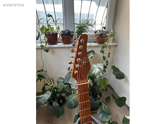 Schecter Elektro Gitar
