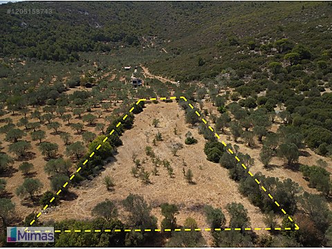 URLA BARBAROS KÖYÜ'NDE ARAZİ