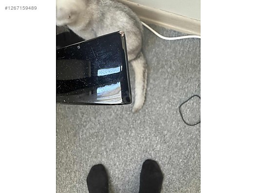 İkinci El ve Sıfır Alışveriş / Müzik / Müzik Aletleri / Telli Çalgılar / Gitar / Elektro