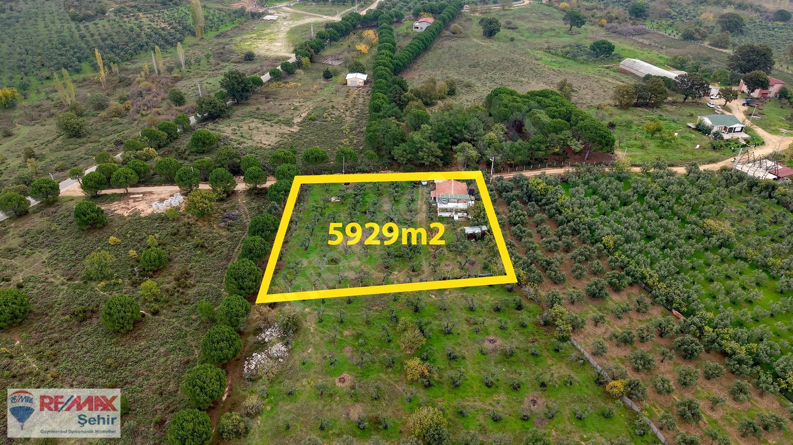 REMAX'TAN MECİDİYE'DE 5929 m² ZEYTİNLİK İÇİNDE MÜSTAKİL EV