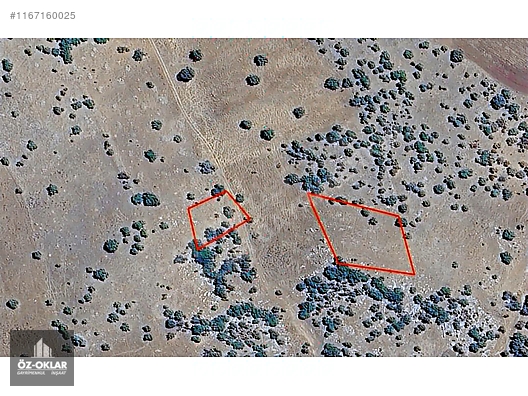 GÜNEYSINIRDA MÜSTAKİL PARSELLER #1167160025