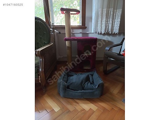 Kedi tırmalama evi ve yatağı 1047160525