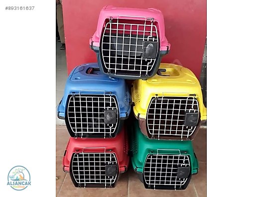 Ankara Sincan Alsancak Petshop Hayvanlar Alemi Ilanlari Sahibinden Com Da