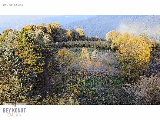 BEY KONUT EMLAKTAN BEYKÖY BLD. ÇINARDÜZÜ KÖYÜ DE SATILIK ARSA #1278161784