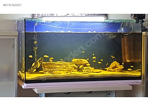 ankara kurulu 1 metrelik buyuk 190 litrelik cam akvaryum sahibinden comda 978162007