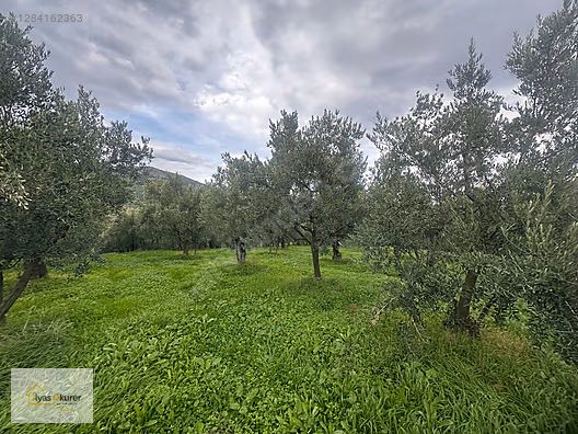 BURSA MUDANYA ÇEPNİ SATILIK 2.725M2 TEK TAPU YATIRIMLIK TARLA #1284162363