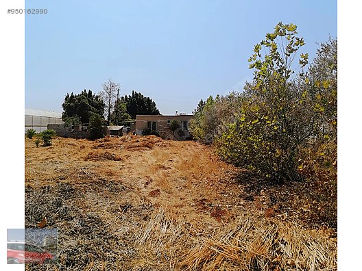 antalya aksu ilcesinde satilik 6000 m2 kapali sera ev olan tarla satilik arsa ilanlari sahibinden com da 950162990 antalya aksu ilcesinde satilik 6000 m2 kapali sera ev olan tarla satilik arsa ilanlari sahibinden com da 950162990
