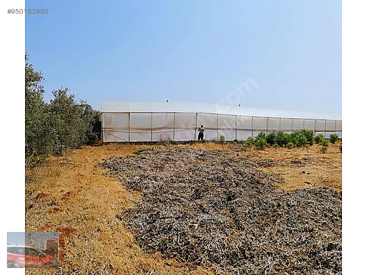 antalya aksu ilcesinde satilik 6000 m2 kapali sera ev olan tarla satilik arsa ilanlari sahibinden com da 950162990 antalya aksu ilcesinde satilik 6000 m2 kapali sera ev olan tarla satilik arsa ilanlari sahibinden com da 950162990
