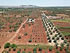 ENTAP GAYRİMENKUL'DEN GÜRSU DA TEK TAPU BAĞEVLİK ARAZİ !!!