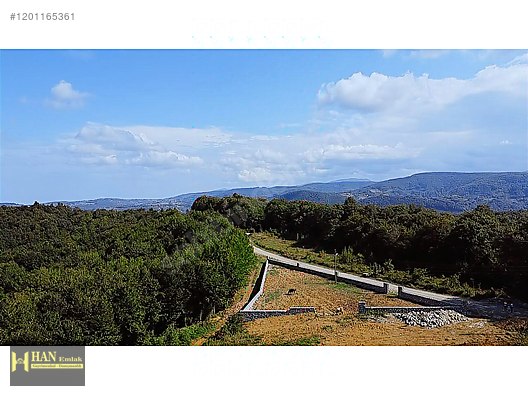 Sinop Erfelek Satılık Arazi #1201165361