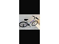 Carraro 262 Bisikleti