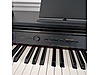 Used & Brand New Items / Music / Musical Instruments / Keyboard Instruments / Piano