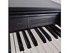 Used & Brand New Items / Music / Musical Instruments / Keyboard Instruments / Piano