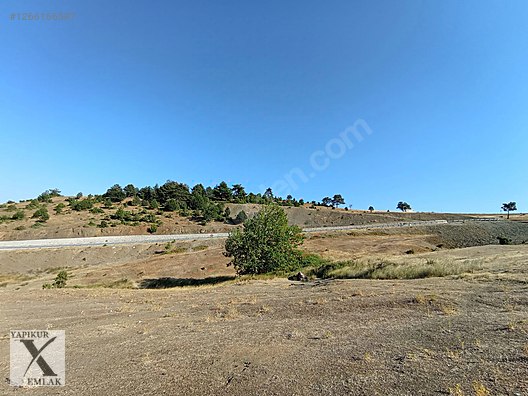 YAPIKUR GAYRİMENKULDEN YATIRIMLIK SATILIK ARAZİ #1266166597