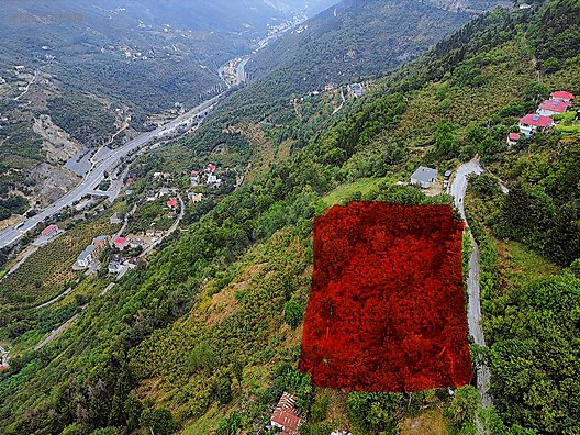 TRABZON MAÇKADA FIRSAT ARAZİ #1263167309