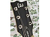 LTD Elektro Gitar