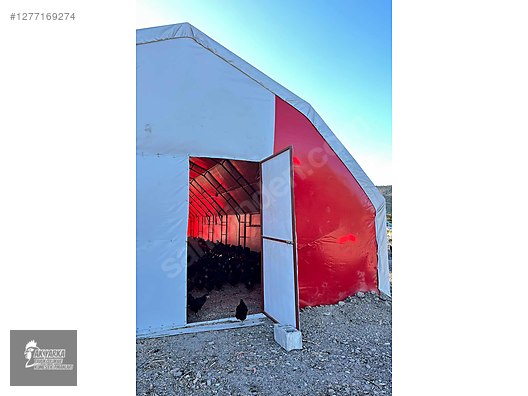 Hayvanlar Alemi / Aksesuarlar / Kümes Hayvanları / Kafes & Kümes