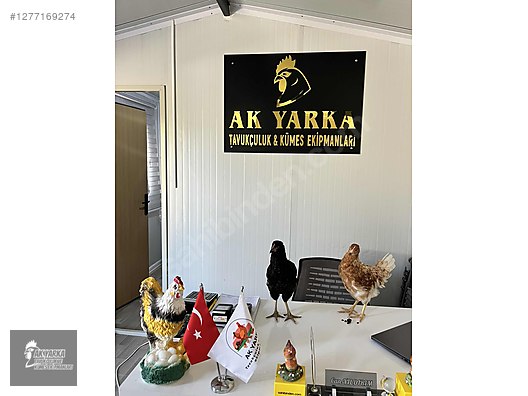 Hayvanlar Alemi / Aksesuarlar / Kümes Hayvanları / Kafes & Kümes