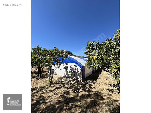 Hayvanlar Alemi / Aksesuarlar / Kümes Hayvanları / Kafes & Kümes