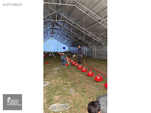 Hayvanlar Alemi / Aksesuarlar / Kümes Hayvanları / Kafes & Kümes