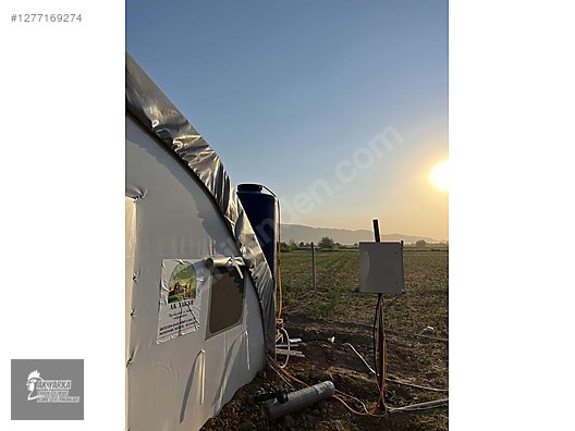 Hayvanlar Alemi / Aksesuarlar / Kümes Hayvanları / Kafes & Kümes