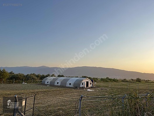 Hayvanlar Alemi / Aksesuarlar / Kümes Hayvanları / Kafes & Kümes