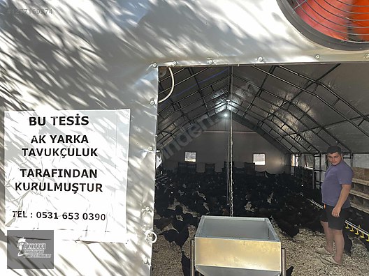 Hayvanlar Alemi / Aksesuarlar / Kümes Hayvanları / Kafes & Kümes