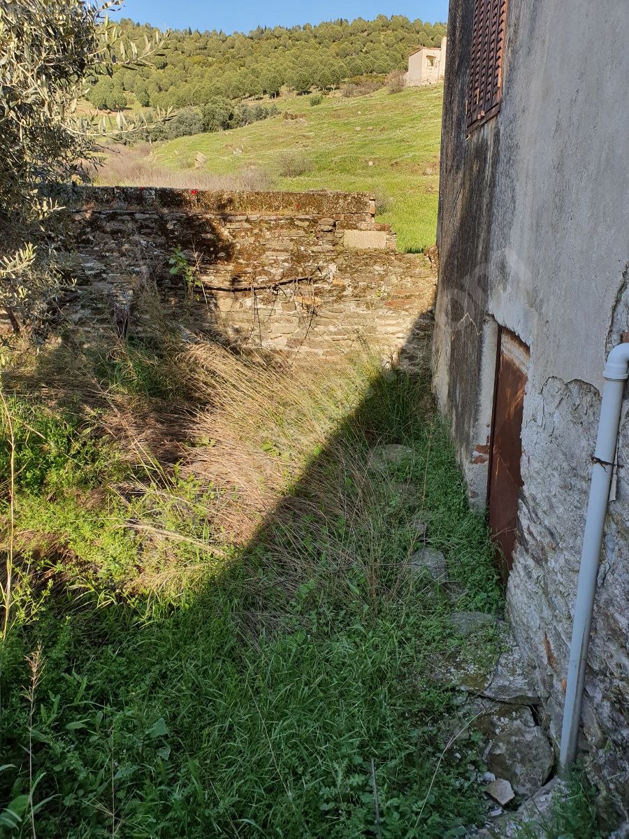 İki tapu iki köy evi Satılık Müstakil Ev İlanları