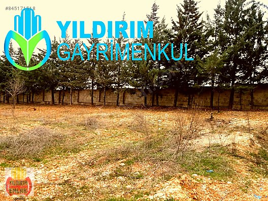 gaziantep kilis yolunda 5000m2 ful meyve bahcesi 100m cepheli satilik arsa ilanlari sahibinden com da 845171518