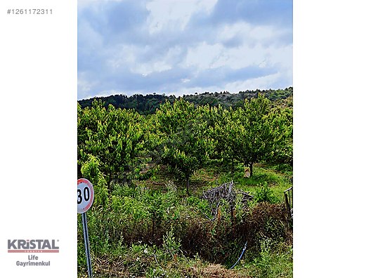 KRİSTAL İZ'DEN KELES'TE EŞSİZ KONUMDA SATILIK FIRSAT TARLA #1261172311