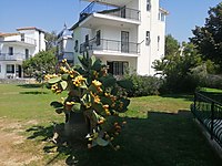 Davutlar Gunluk Kiralik Yazlik Fiyatlari Sahibinden Com Da