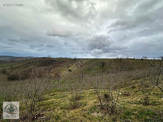 ŞİLE AĞVA GEREDELİ MAH. YATIRIMLIK ARSA... #1237175396