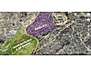 YAPRACIK SAĞDA EMSAL 2.30 .. BÖLGEDE SON FIRSATLAR !!! - Satılık Arsa İlanları sahibinden.com'da - 1312179296