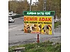 Hayvanlar Alemi / Küçükbaş Hayvanlar / Koç