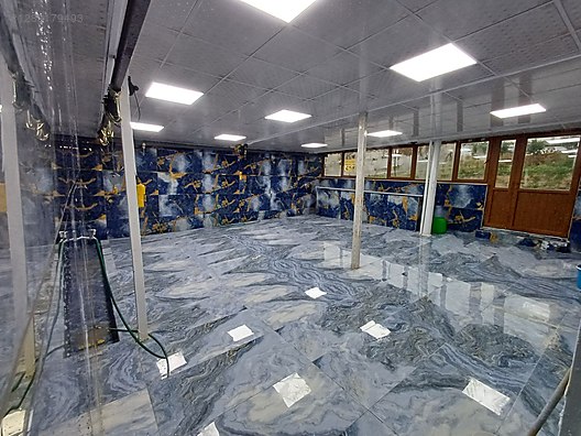 Hayvanlar Alemi / Küçükbaş Hayvanlar / Koç