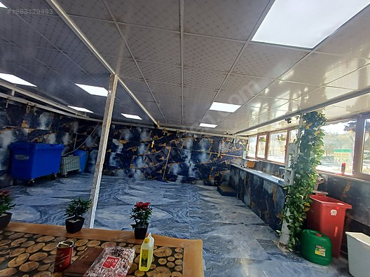 Hayvanlar Alemi / Küçükbaş Hayvanlar / Koç