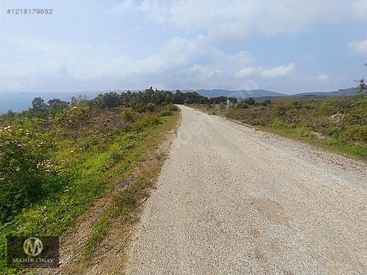 MAHİR ONAY'DAN HAYDARİYE KÖY YOLUNDA DENİZ MANZARALI TARLA #1218179692