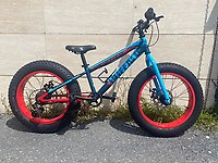 carraro buffalo fat bike