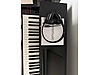 Used & Brand New Items / Music / Musical Instruments / Keyboard Instruments / Piano
