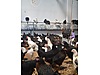 Pets & Livestock / Poultry & Fowl / Chickens